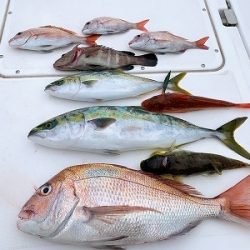 フィシングボートAir(エアー) 釣果