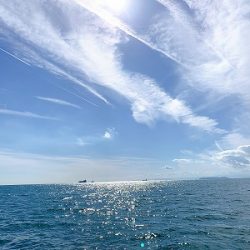 フィシングボートAir(エアー) 釣果