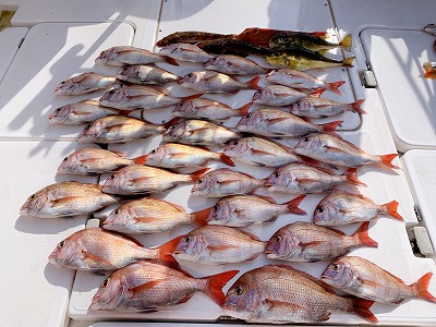 フィシングボートAir(エアー) 釣果