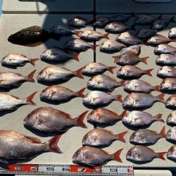 海人丸(うみんちゅまる) 釣果