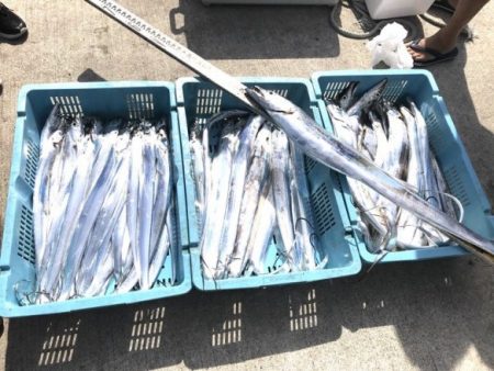 釣り船角田 釣果