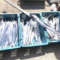 釣り船角田 釣果