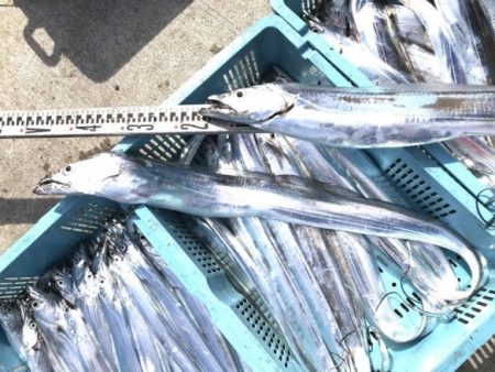 釣り船角田 釣果