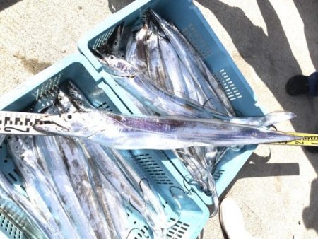 釣り船角田 釣果