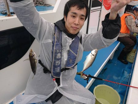 深川　吉野屋 釣果