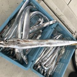 釣り船角田 釣果