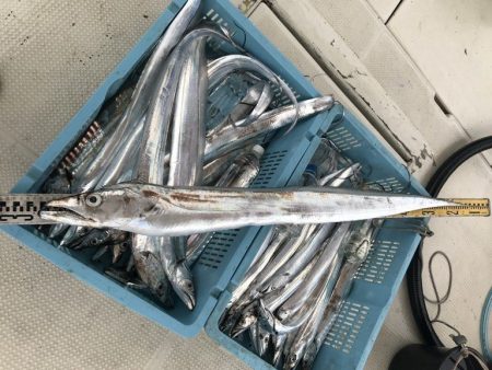 釣り船角田 釣果