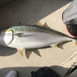 釣り船角田 釣果