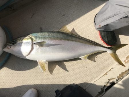 釣り船角田 釣果