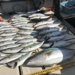 釣り船角田 釣果