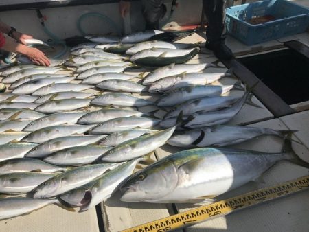 釣り船角田 釣果