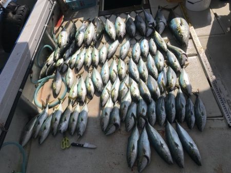 釣り船角田 釣果