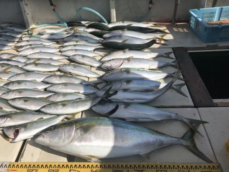 釣り船角田 釣果