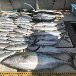 釣り船角田 釣果