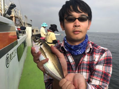 深川 吉野屋 釣果