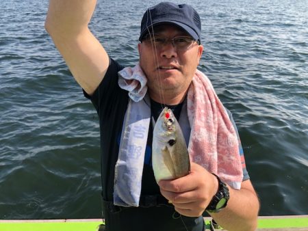 深川 吉野屋 釣果