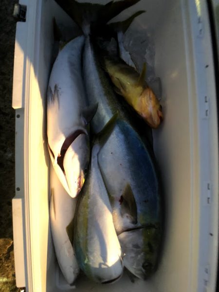 オーシャンズ 京都 釣果