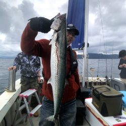 オーシャンズ 京都 釣果