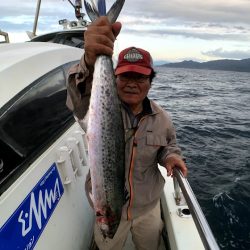 オーシャンズ 京都 釣果
