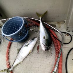 オーシャンズ 京都 釣果