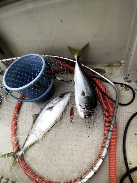 オーシャンズ 京都 釣果