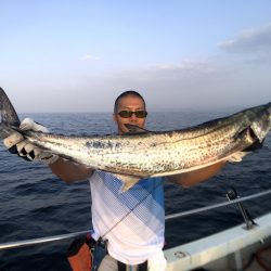 オーシャンズ 京都 釣果