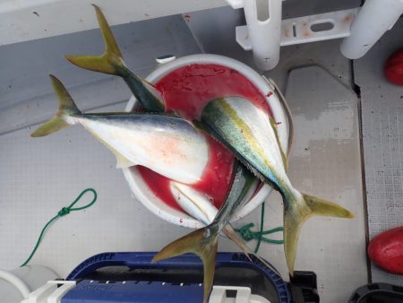 Aquanaut(アクアノート) 釣果