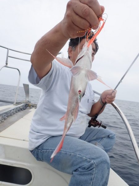 Aquanaut(アクアノート) 釣果