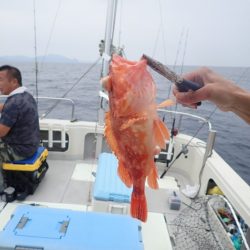 Aquanaut(アクアノート) 釣果