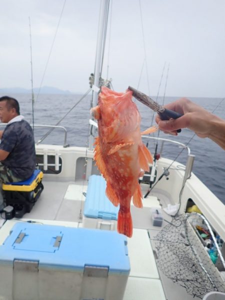 Aquanaut(アクアノート) 釣果