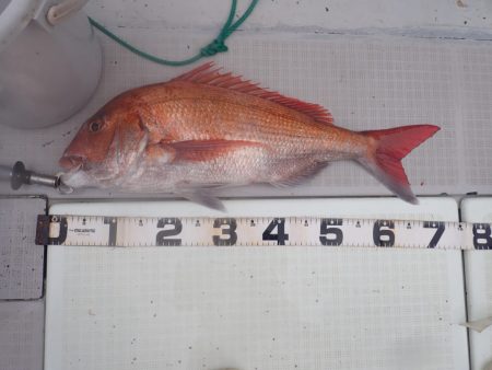 Aquanaut(アクアノート) 釣果