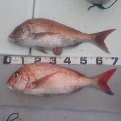 Aquanaut(アクアノート) 釣果