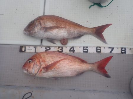 Aquanaut(アクアノート) 釣果