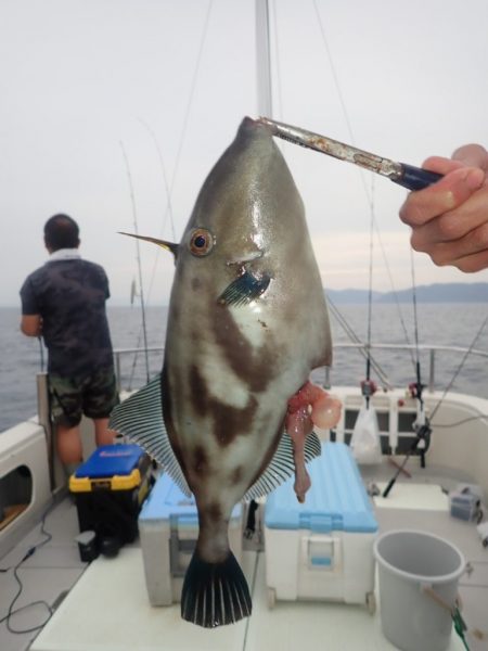 Aquanaut(アクアノート) 釣果