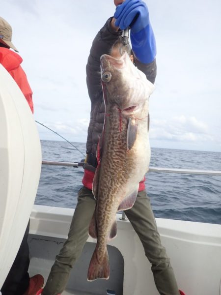 Aquanaut(アクアノート) 釣果