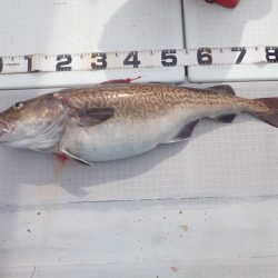 Aquanaut(アクアノート) 釣果