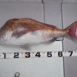 Aquanaut(アクアノート) 釣果