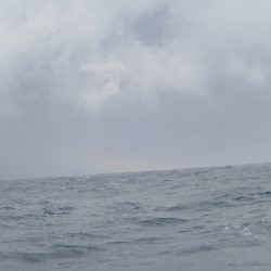 Aquanaut（アクアノート） 釣果