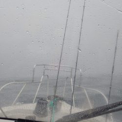 Aquanaut（アクアノート） 釣果