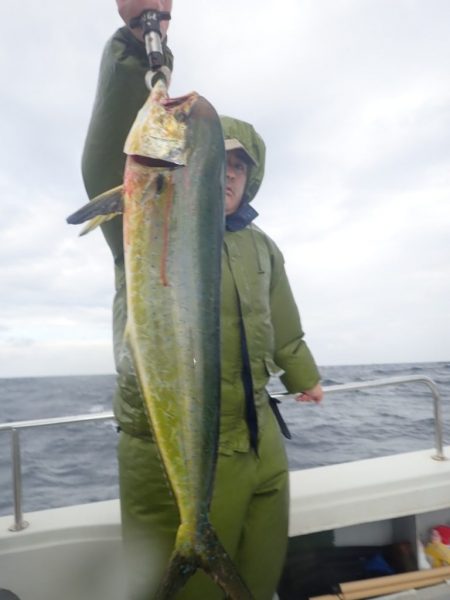 Aquanaut（アクアノート） 釣果