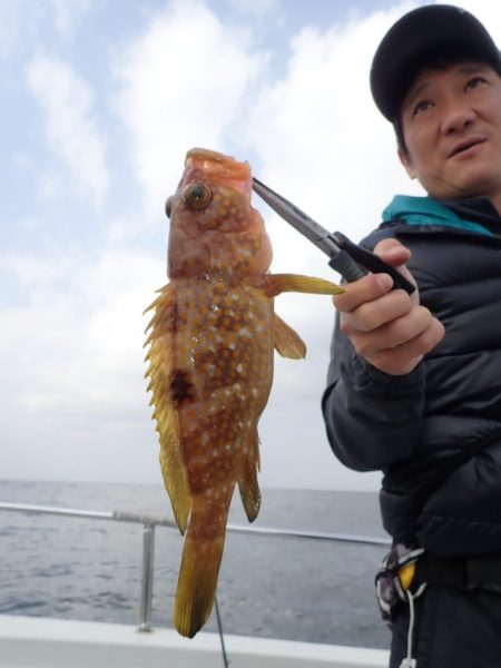 Aquanaut(アクアノート) 釣果