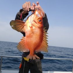 Aquanaut(アクアノート) 釣果