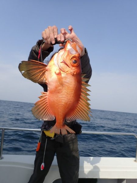 Aquanaut(アクアノート) 釣果