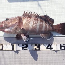 Aquanaut（アクアノート） 釣果