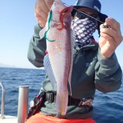 Aquanaut（アクアノート） 釣果