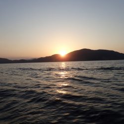 Aquanaut（アクアノート） 釣果