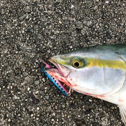 ジャックアイエースは巻いてもジャークでも良し！【ハヤブサ（Hayabusa）ジャックアイエース　インプレッション】