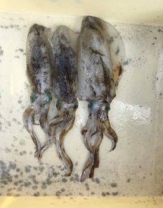 さぶろう丸 釣果