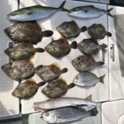 さぶろう丸 釣果