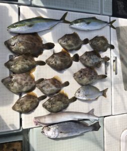 さぶろう丸 釣果